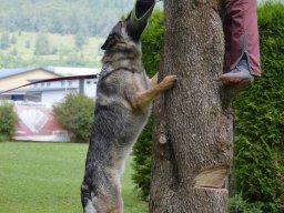 01.07.2023 offenes training 42